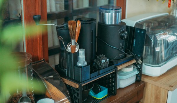 Comment planter un arbuste : Le guide étape par étape